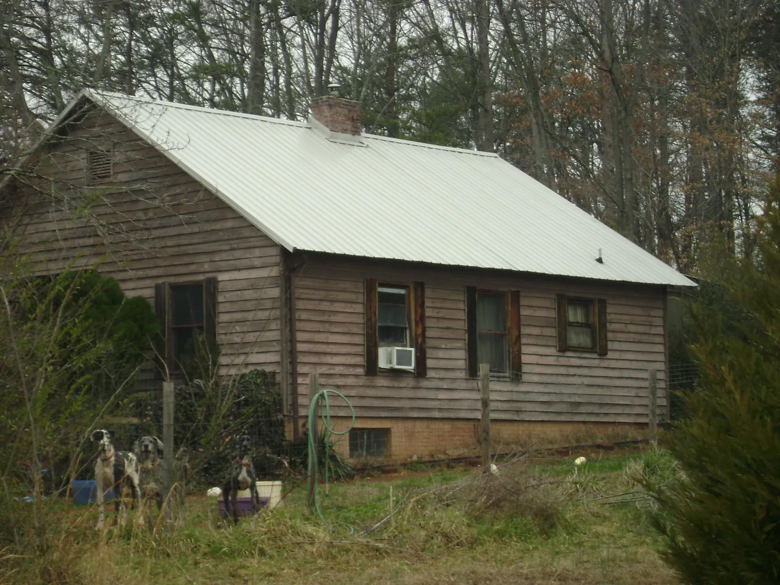 White metal roof on an old wood sided farmhouse, from a Asphalt Shingle Roof Repair job in Brainard